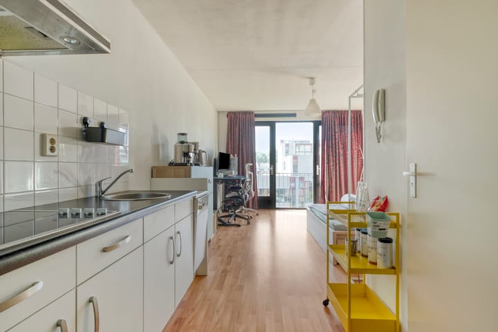 Foto 7 van Ina Boudier-Bakkerlaan 28-K