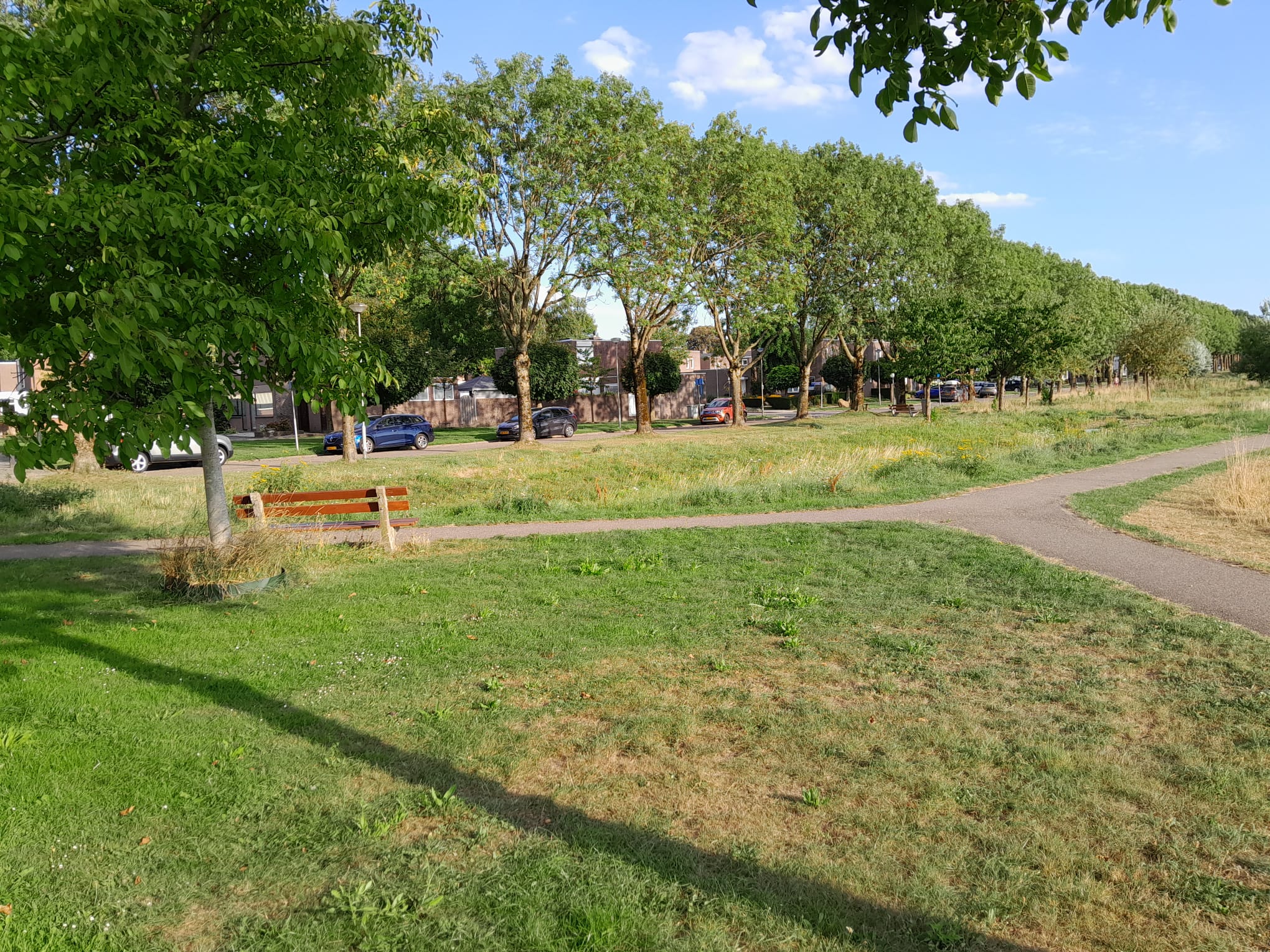 Foto 3 van Kennedyplantsoen 61