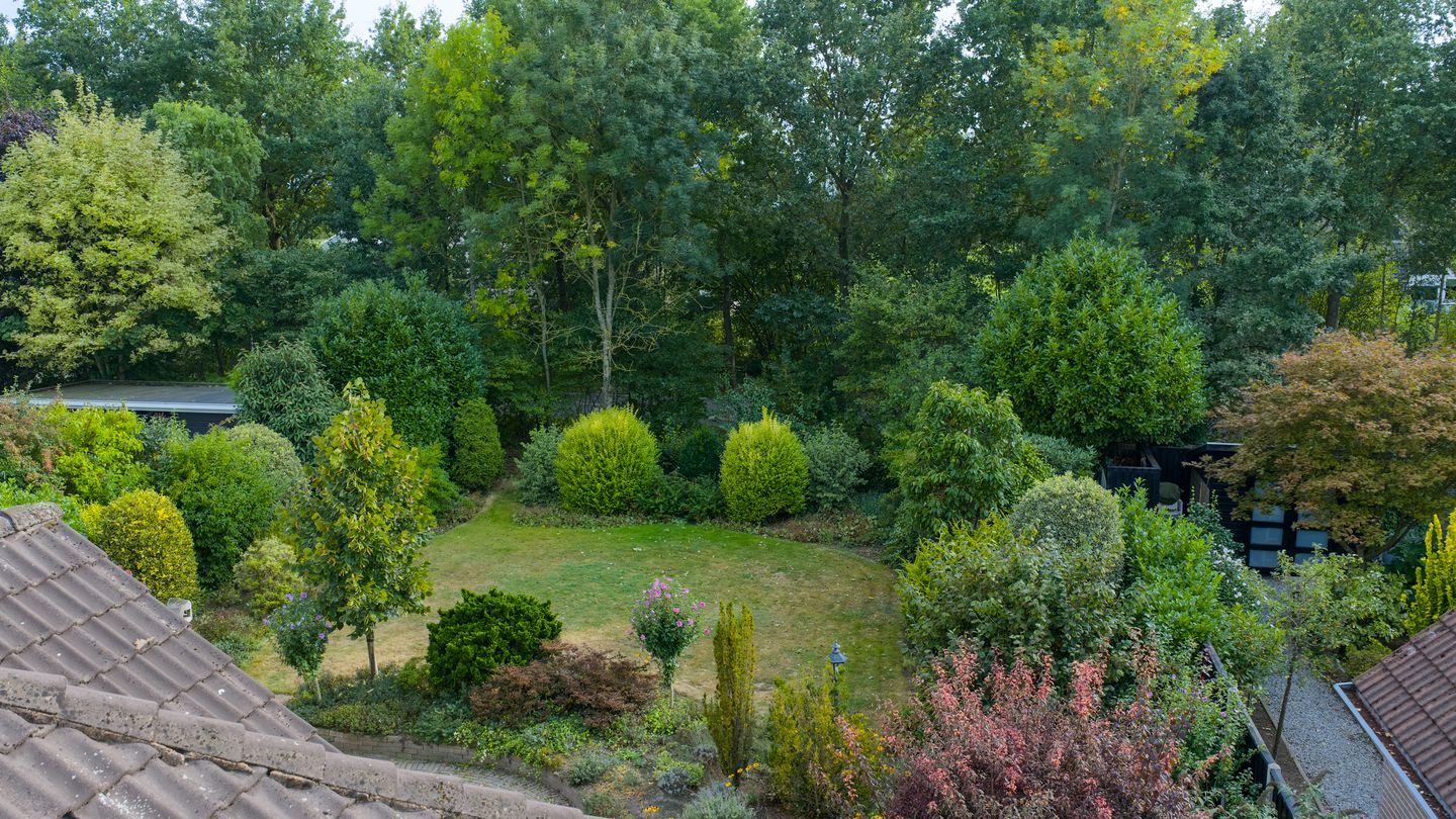 Foto 40 van Neptunus 29