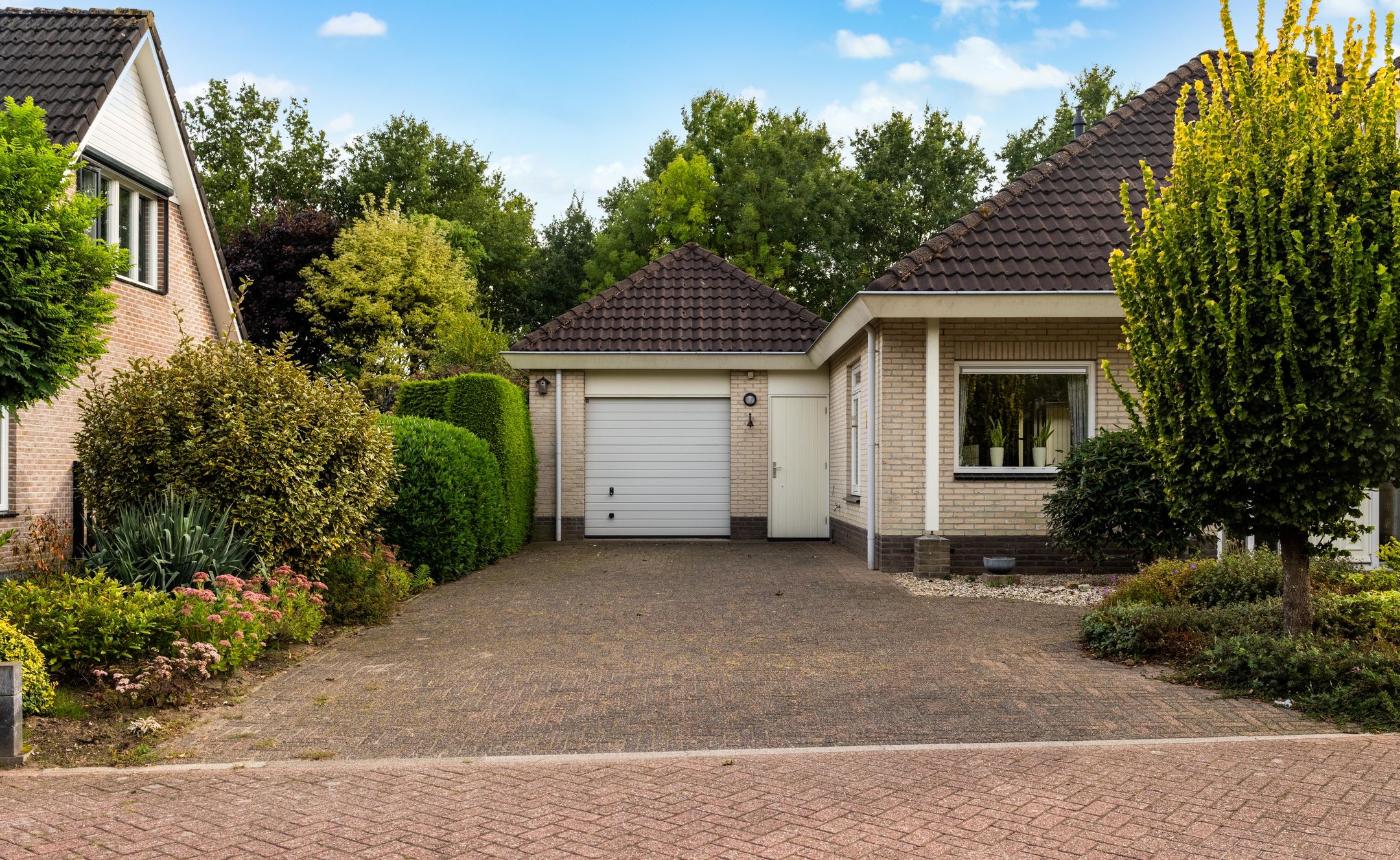 Foto 42 van Neptunus 29