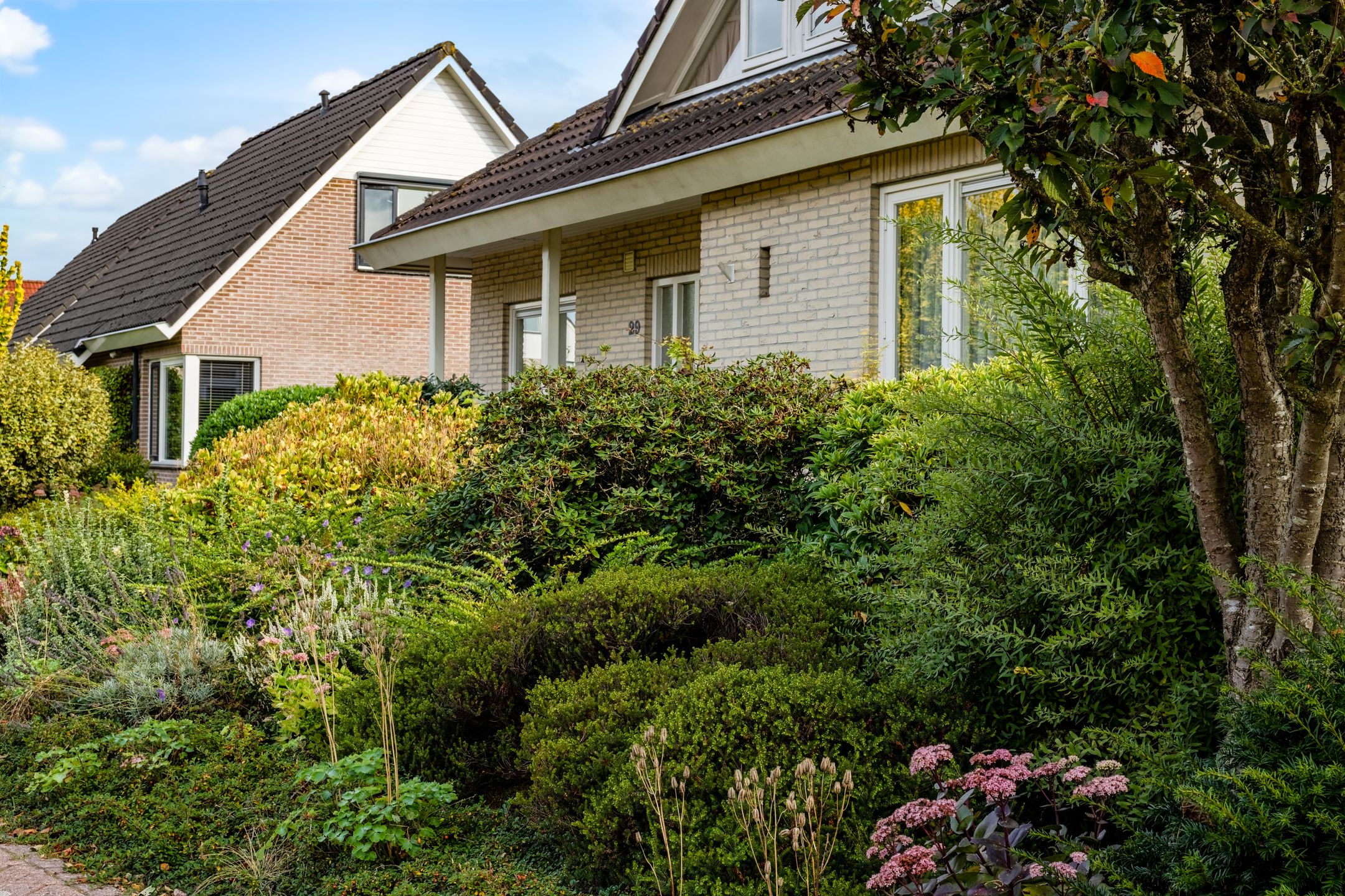 Foto 6 van Neptunus 29