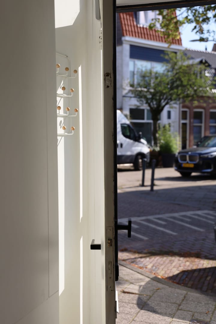 Foto 37 van Dr. Leijdsstraat 45