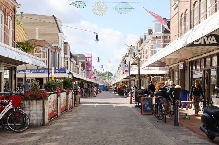 Foto 44 van Dr. Leijdsstraat 45