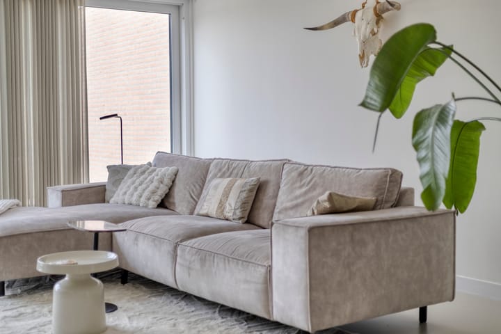 Foto 8 van Schoener 46-A