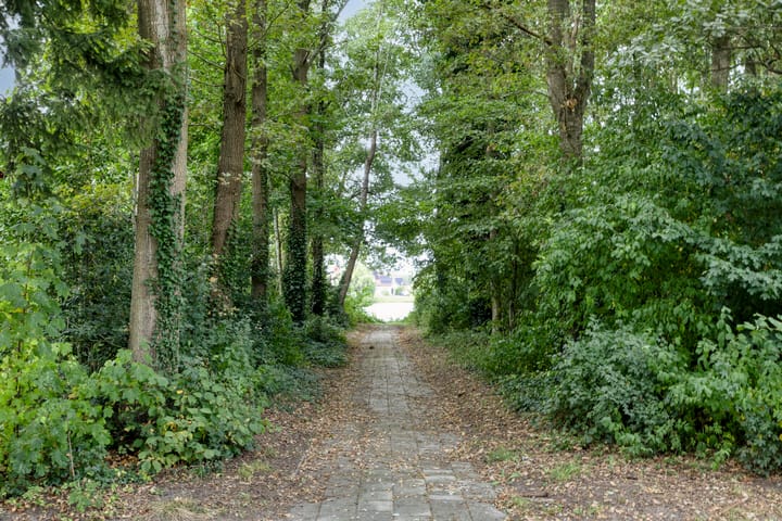 Foto 66 van Schoener 46-A