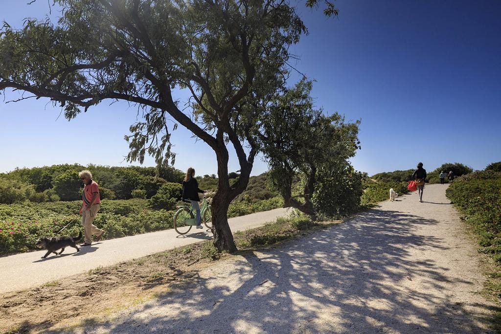 Foto 40 van Snelliusstraat 28