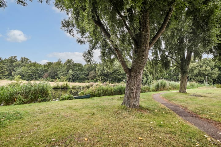 Foto 24 van Blankenbergestraat 5