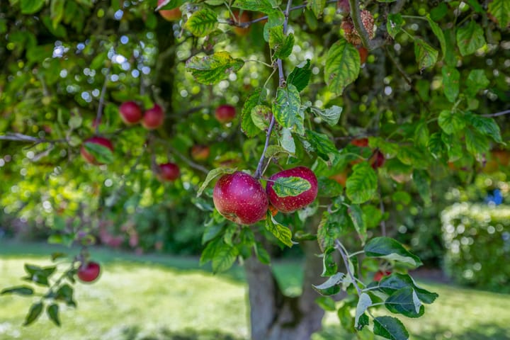 Foto 63 van Oosteinde 33