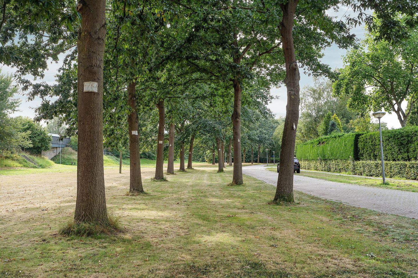 Photo 74 of Vredelaan 11