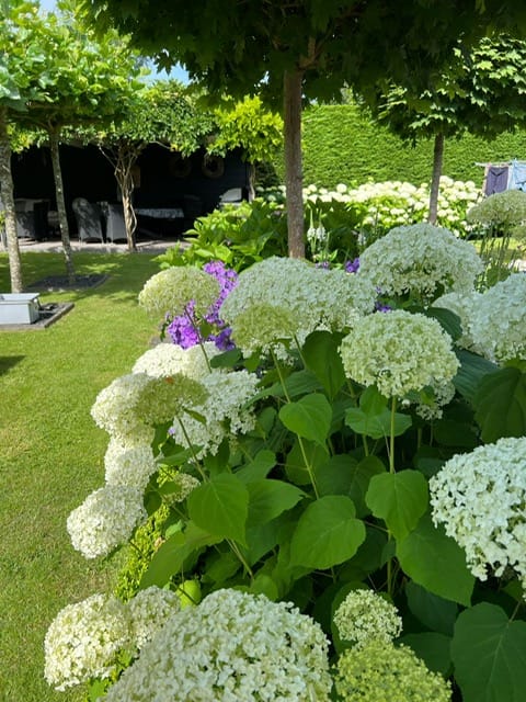 Photo 76 of Vredelaan 11