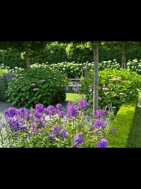 Photo 77 of Vredelaan 11