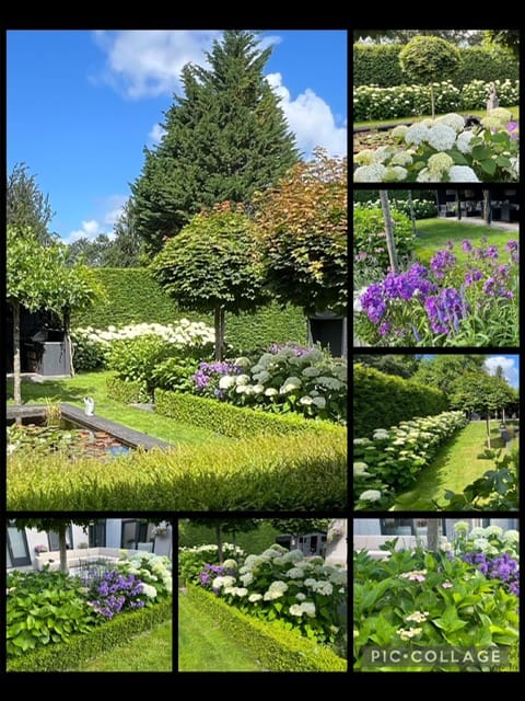 Photo 78 of Vredelaan 11