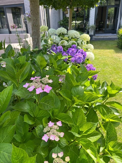 Photo 79 of Vredelaan 11