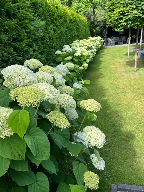 Photo 80 of Vredelaan 11