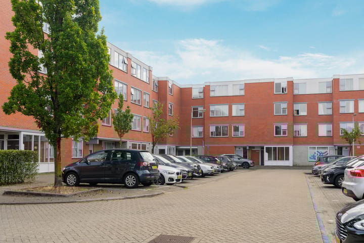 Foto 1 van Havikskruid 41