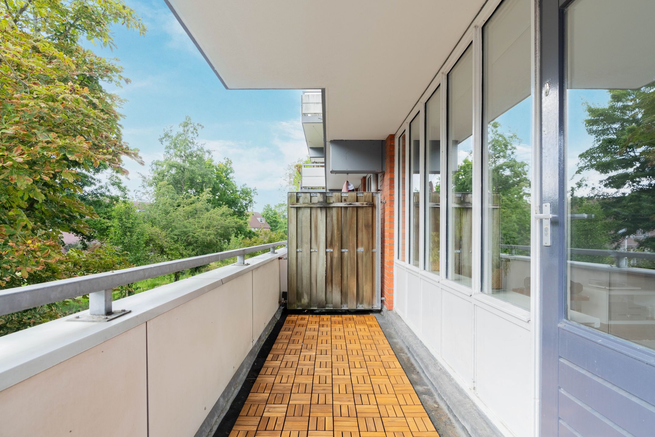 Photo 3 of Havikskruid 41