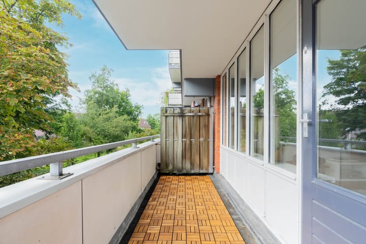 Foto 3 van Havikskruid 41