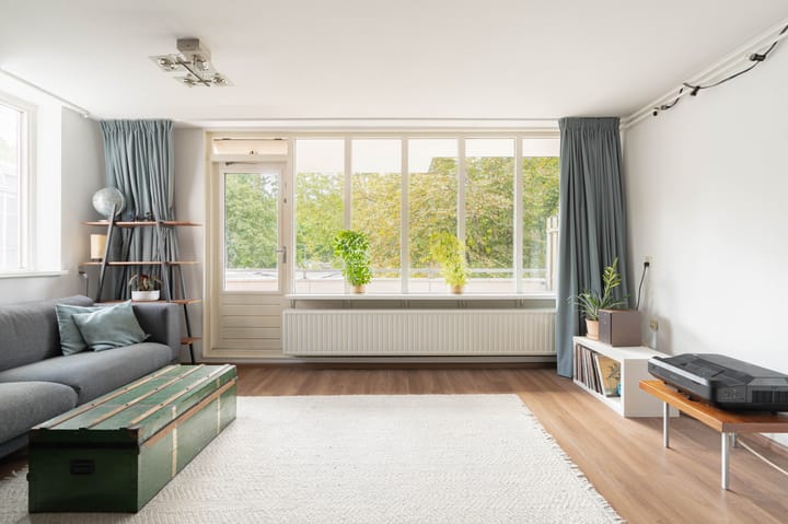 Foto 5 van Havikskruid 41