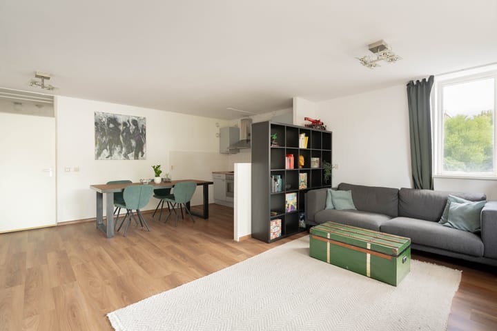 Foto 7 van Havikskruid 41