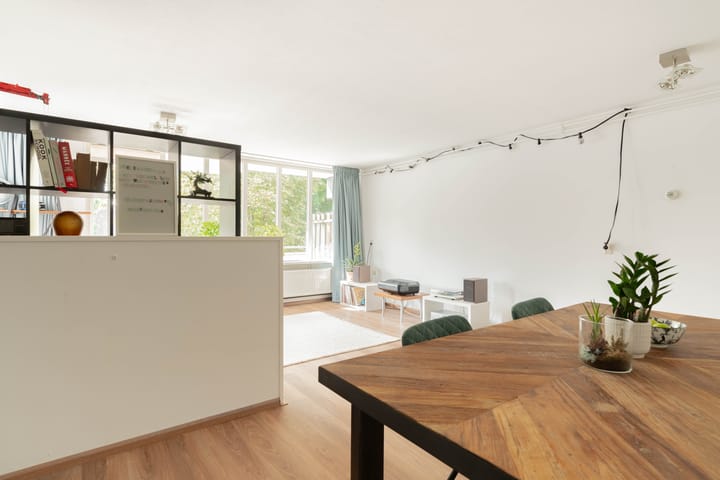 Foto 10 van Havikskruid 41