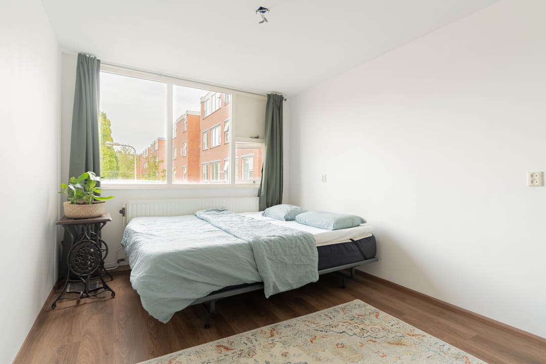 Photo 11 of Havikskruid 41