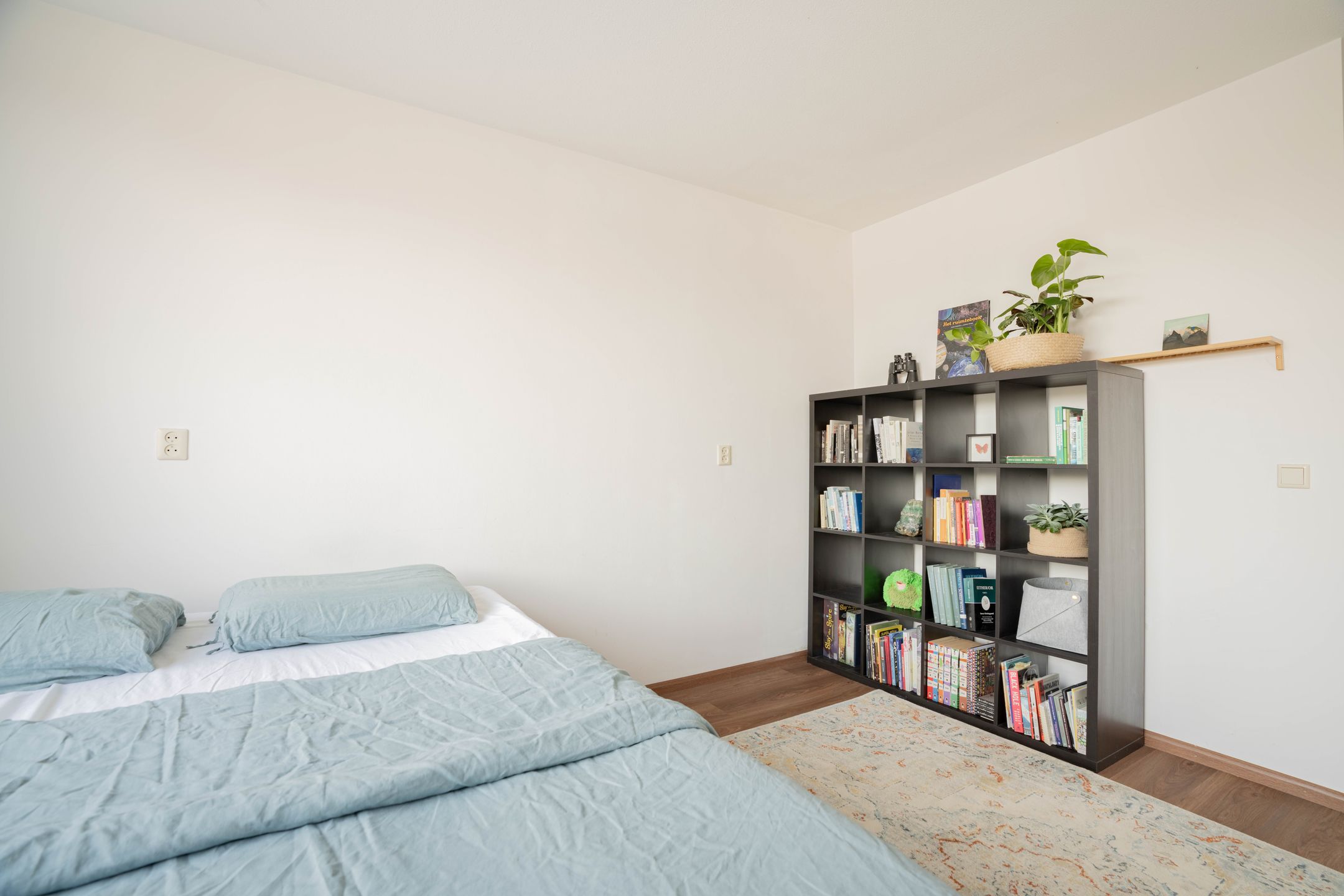 Photo 12 of Havikskruid 41