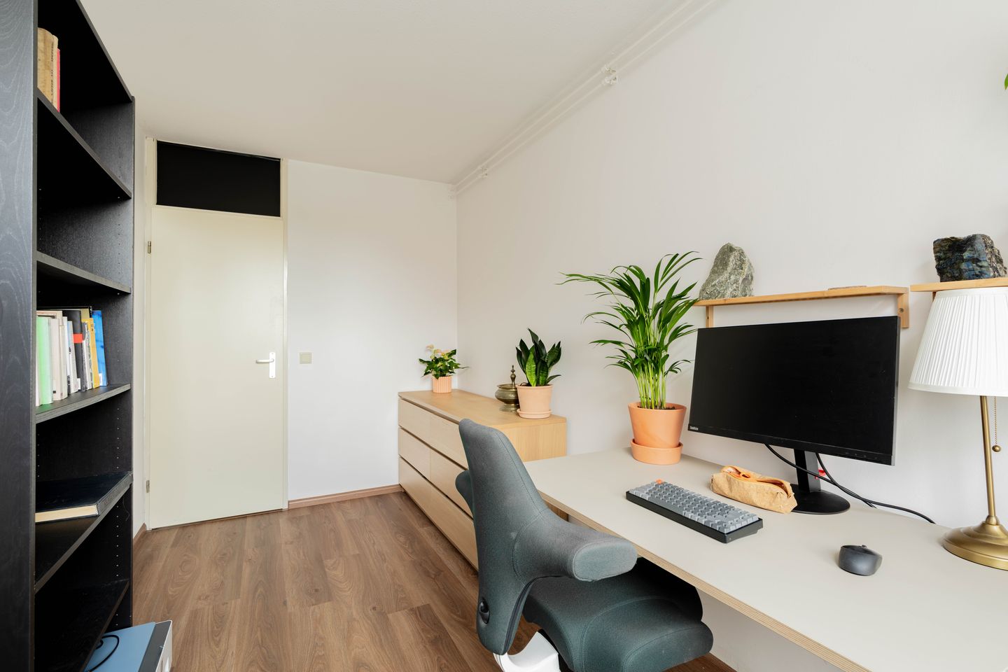 Photo 14 of Havikskruid 41