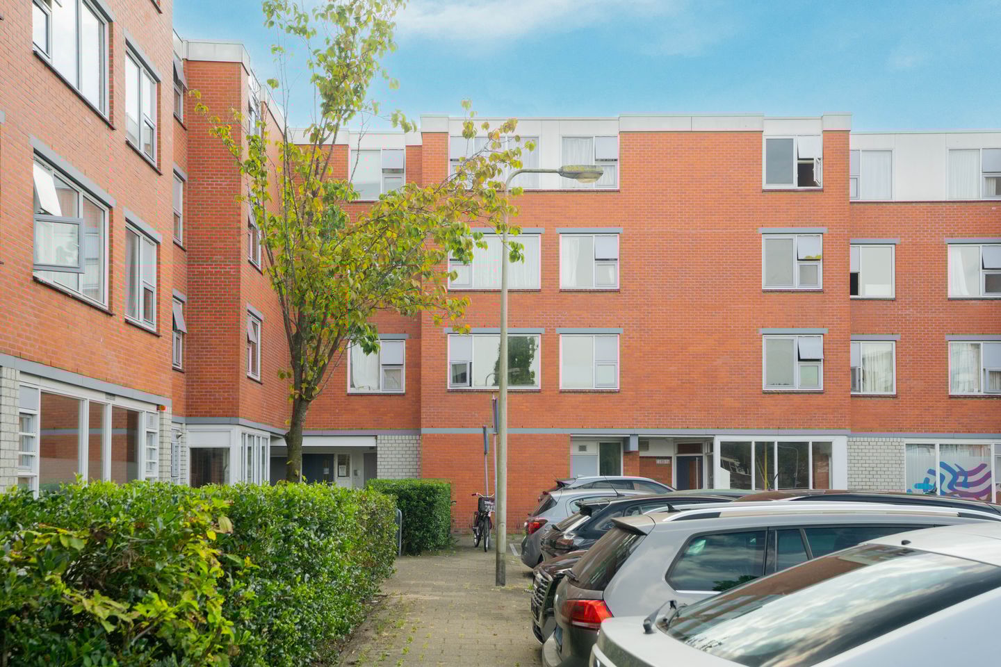 Photo 19 of Havikskruid 41