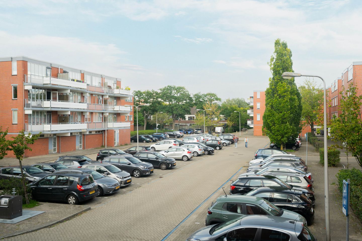 Photo 20 of Havikskruid 41