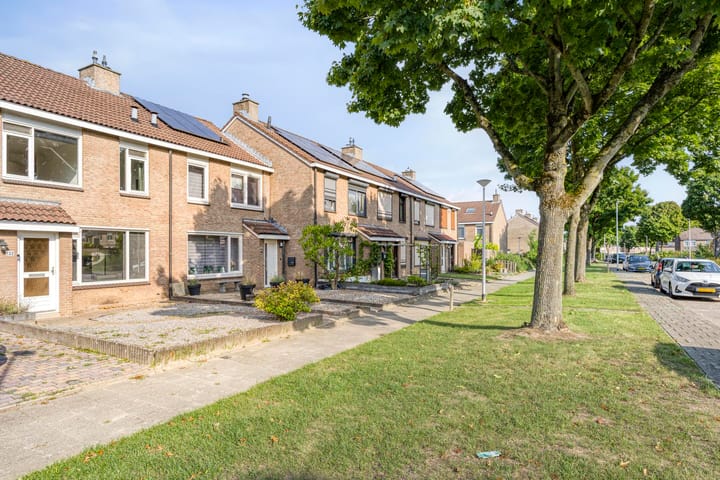 Foto 11 van Fossielenerf 132