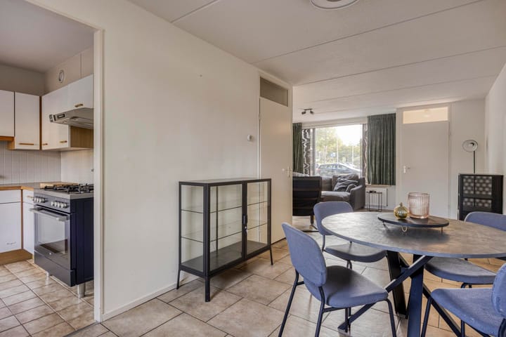 Foto 20 van Fossielenerf 132