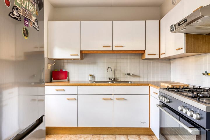 Foto 21 van Fossielenerf 132