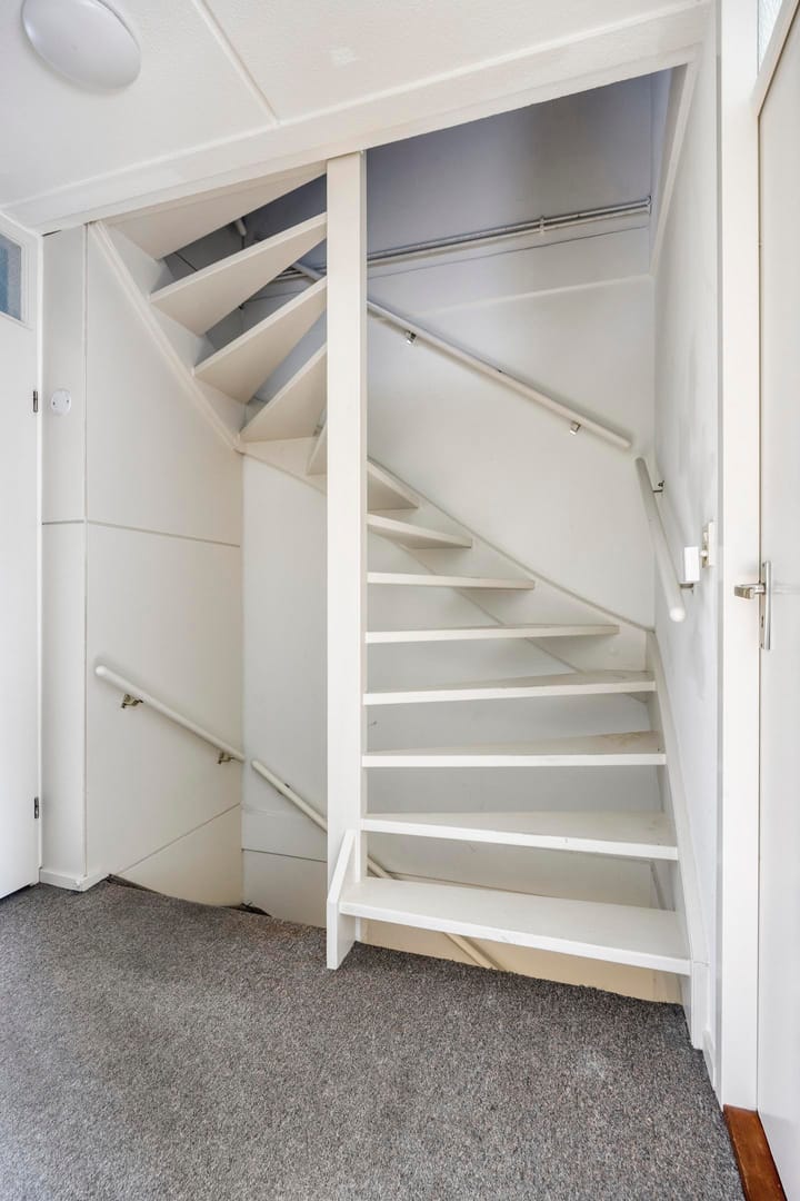 Foto 23 van Fossielenerf 132