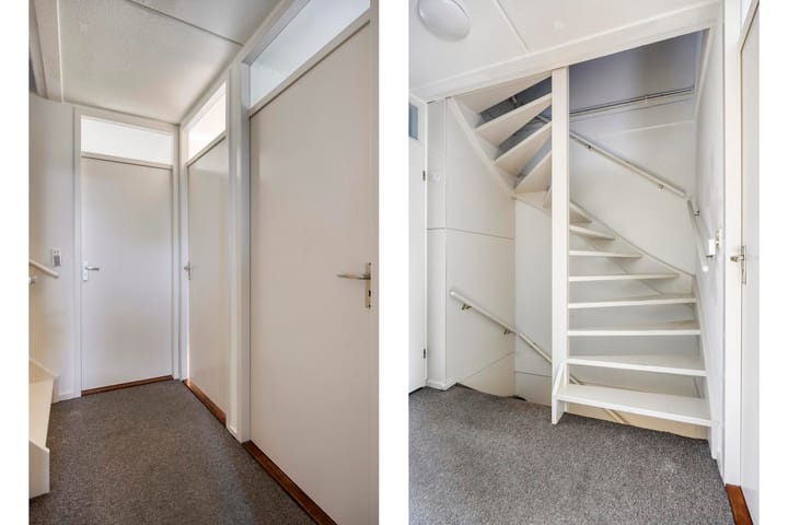 Foto 8 van Fossielenerf 132