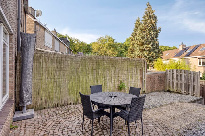 Foto 31 van Fossielenerf 132