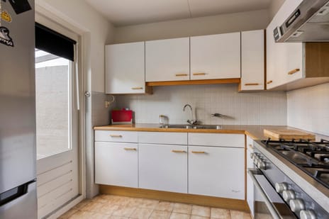 Fossielenerf 132 tertiary image