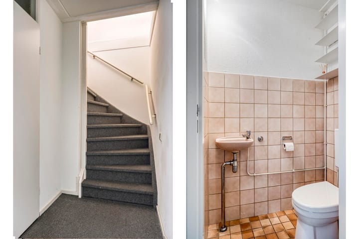 Foto 7 van Fossielenerf 132