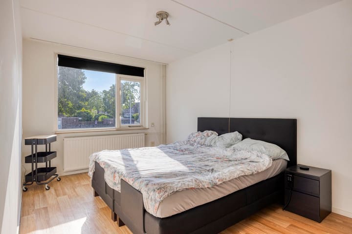 Foto 4 van Fossielenerf 132