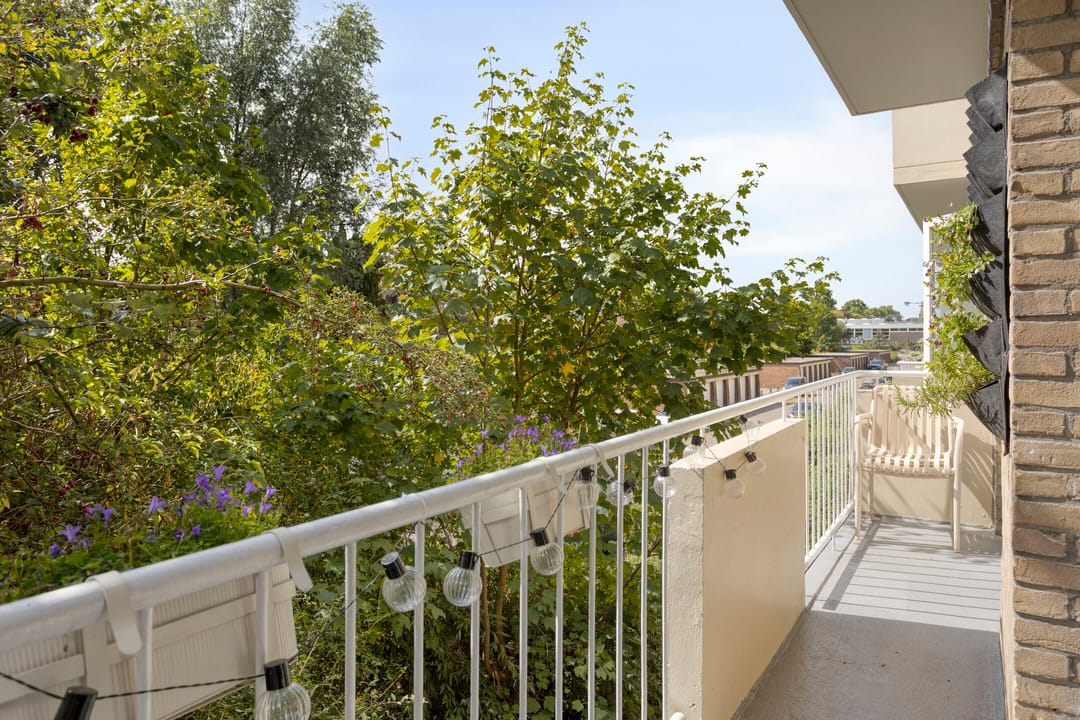 Foto 22 van Thorbeckestraat 58-1