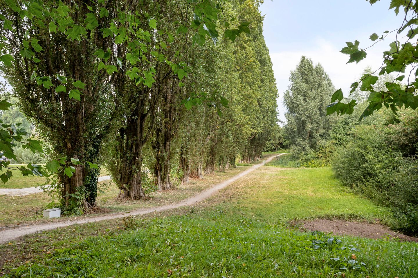 Foto 25 van Thorbeckestraat 58-1