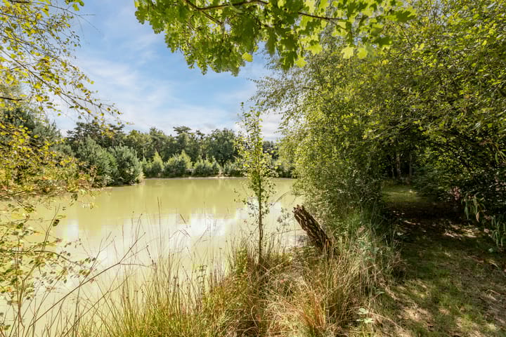 Photo 67 of Moraineweg 22