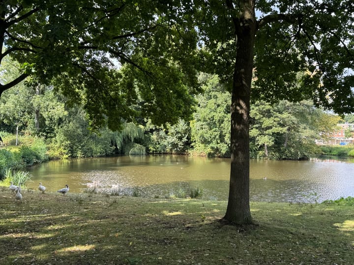 Foto 25 van Antwerpenstraat 32