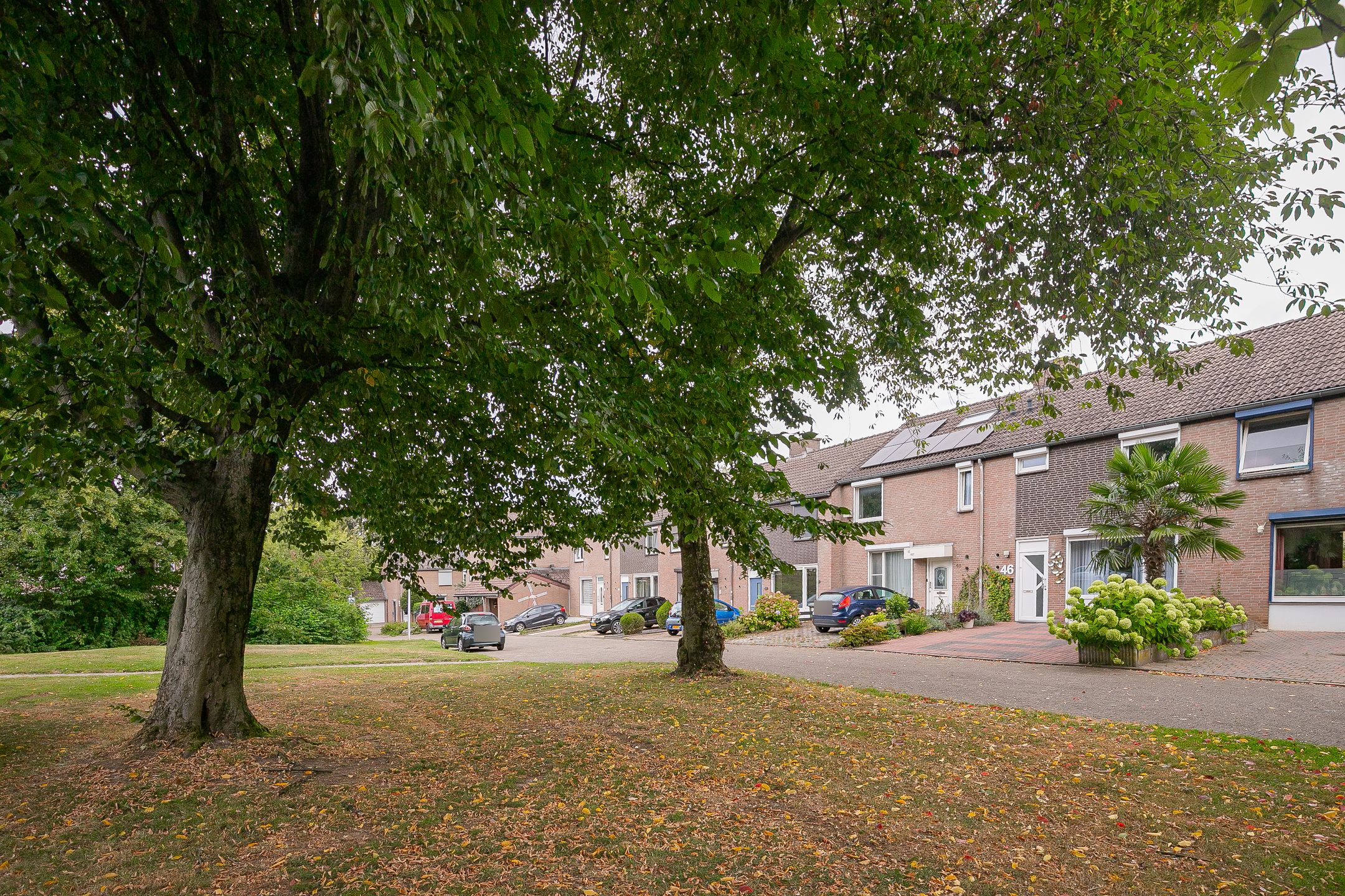 Foto 21 van Manshaag 46