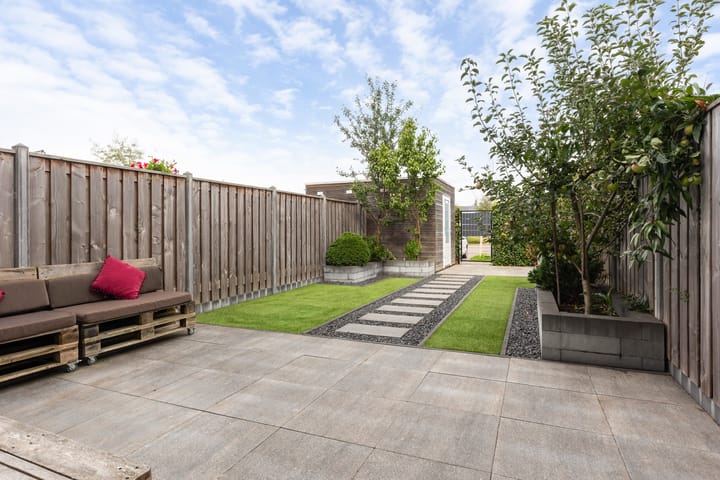 Foto 11 van Icarusblauwtje 98