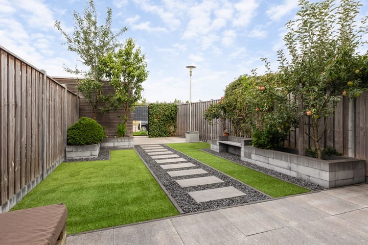 Foto 12 van Icarusblauwtje 98