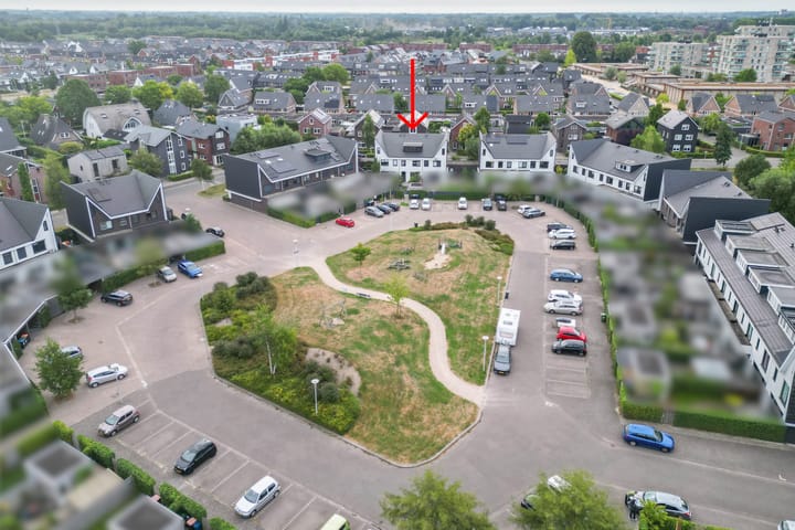 Foto 14 van Icarusblauwtje 98