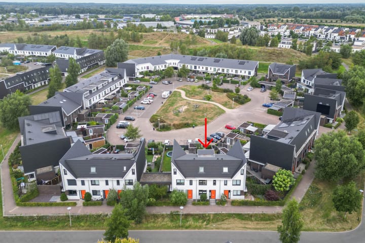 Foto 15 van Icarusblauwtje 98