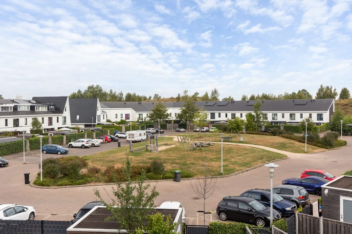 Foto 31 van Icarusblauwtje 98