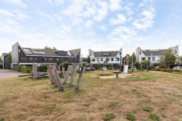 Foto 33 van Icarusblauwtje 98