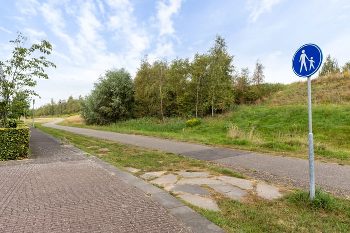 Foto 34 van Icarusblauwtje 98